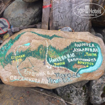 фото из отзыва ID 2159871