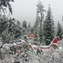 фото из отзыва ID 2159871