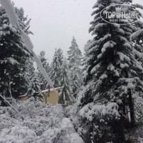 фото из отзыва ID 2159871