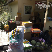 фото из отзыва ID 2159871