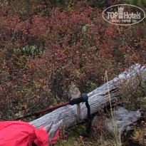 фото из отзыва ID 2159871