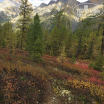 фото из отзыва ID 2159871