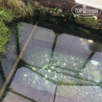 фото из отзыва ID 2159871