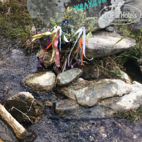 фото из отзыва ID 2159871