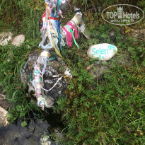 фото из отзыва ID 2159871