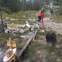 фото из отзыва ID 2159871