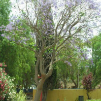 фото из отзыва ID 216416