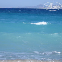 фото из отзыва ID 216639