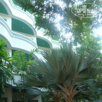 фото из отзыва ID 216678