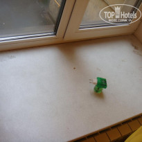 фото из отзыва ID 216839