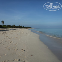 фото из отзыва ID 2160065