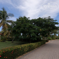 фото из отзыва ID 2160065