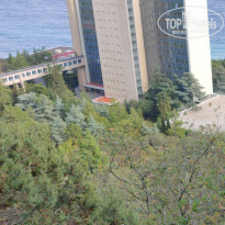 фото из отзыва ID 2160097