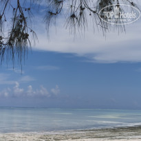 фото из отзыва ID 2160146