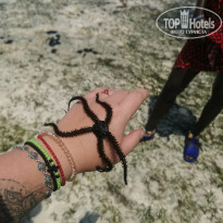 фото из отзыва ID 2160146