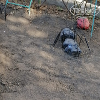 фото из отзыва ID 2160349