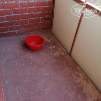 фото из отзыва ID 2160349