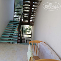 фото из отзыва ID 2160349