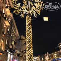 фото из отзыва ID 2160356