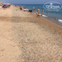 фото из отзыва ID 2160358