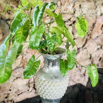фото из отзыва ID 2160409
