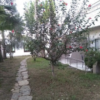 фото из отзыва ID 2160427