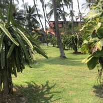 фото из отзыва ID 2160598