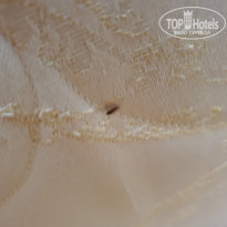 фото из отзыва ID 2160678