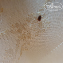 фото из отзыва ID 2160678