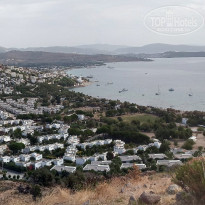 фото из отзыва ID 2160757