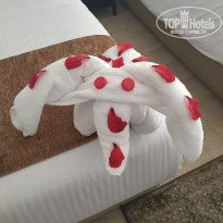 фото из отзыва ID 2160812