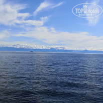 фото из отзыва ID 2160903