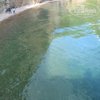 фото из отзыва ID 2160907