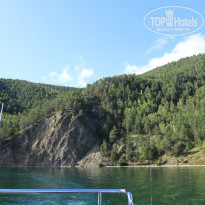 фото из отзыва ID 2160907