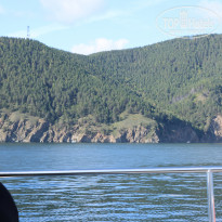 фото из отзыва ID 2160907