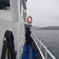 фото из отзыва ID 2160919