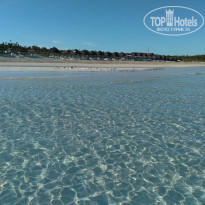 фото из отзыва ID 2160224