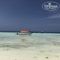 фото из отзыва ID 2161003