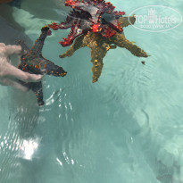 фото из отзыва ID 2161003