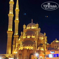 фото из отзыва ID 2161044