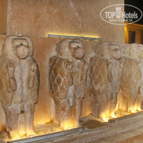 фото из отзыва ID 2161044