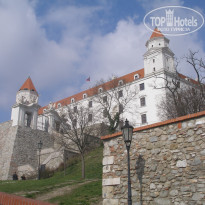 фото из отзыва ID 2161110