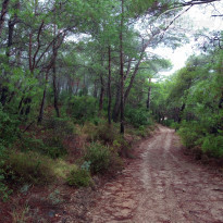 фото из отзыва ID 2161125