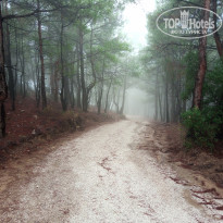 фото из отзыва ID 2161125