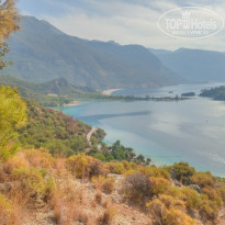 фото из отзыва ID 2161125