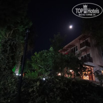 фото из отзыва ID 2161125