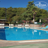 фото из отзыва ID 2161125