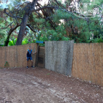 фото из отзыва ID 2161125