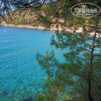 фото из отзыва ID 2161125