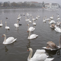 фото из отзыва ID 2161270